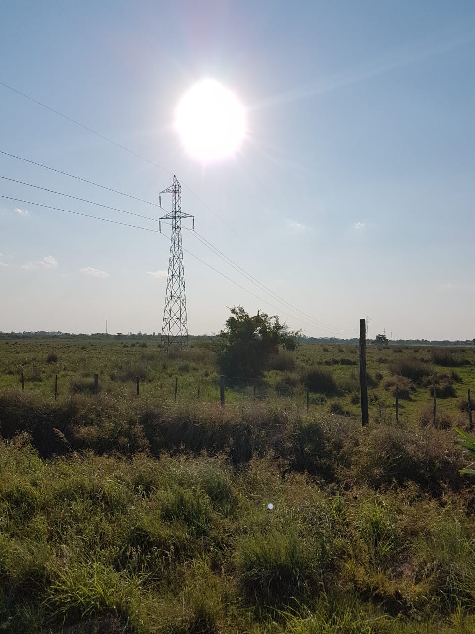 proveedores amanecer rural