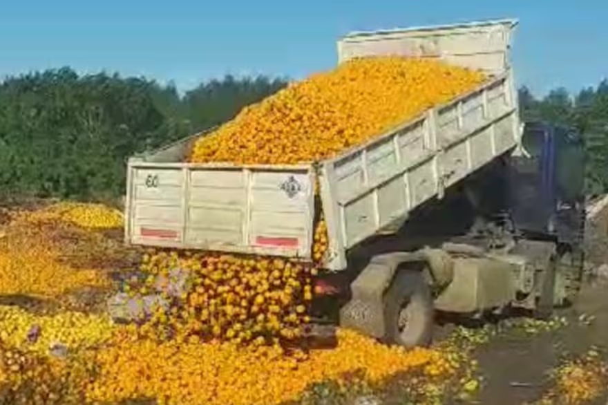 amanecer rural