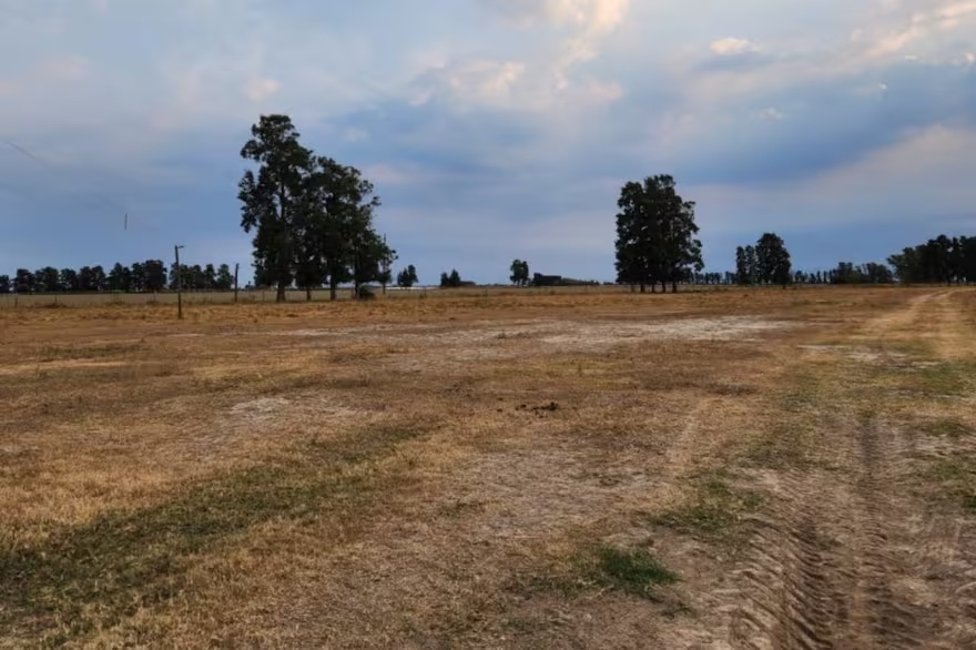 amanecer rural