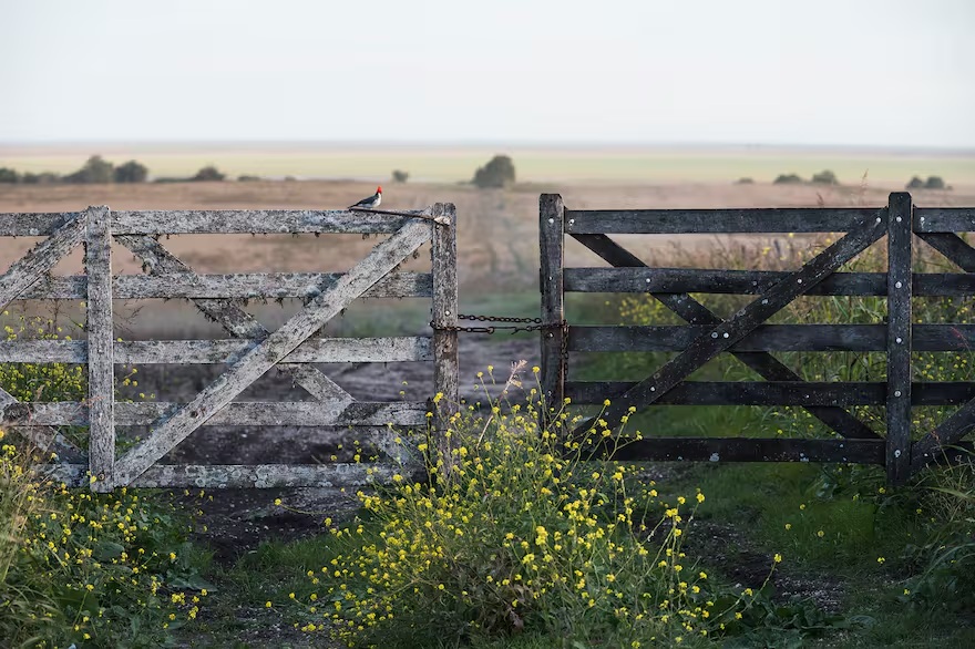 amanecer rural