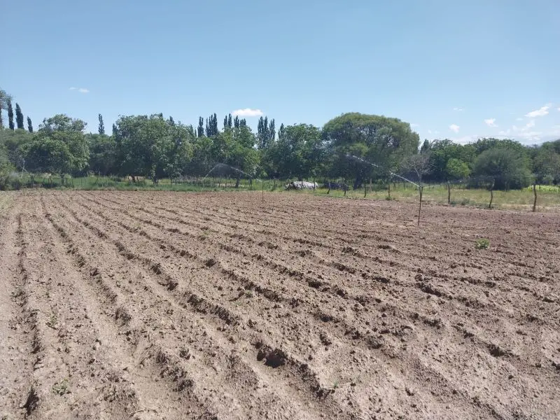 amanecer rural