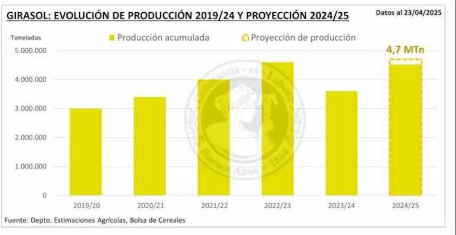 amanecer rural