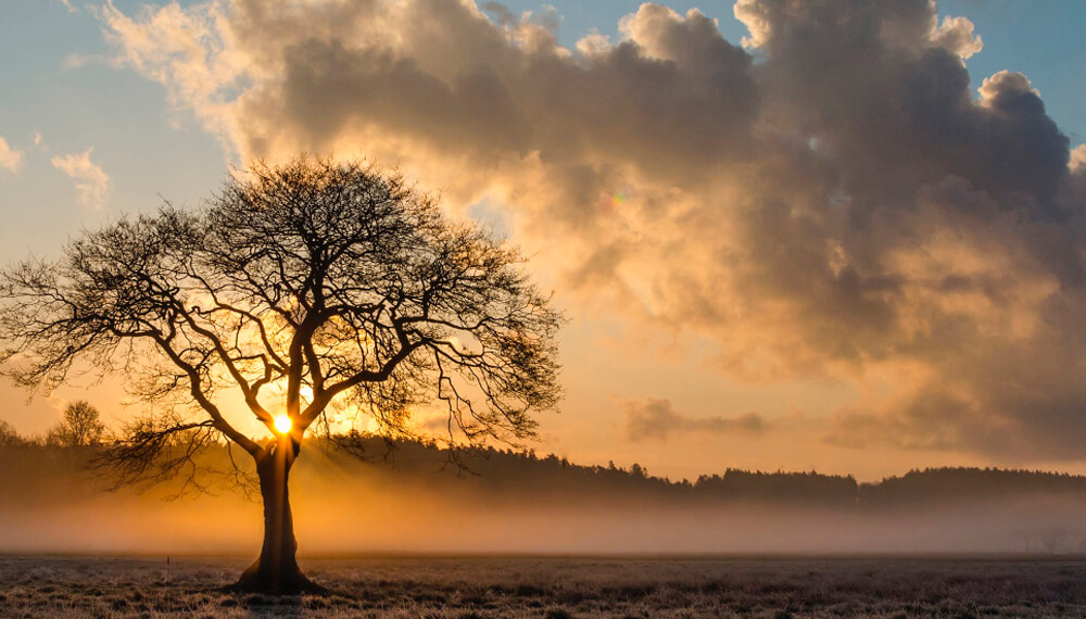 amanecer rural