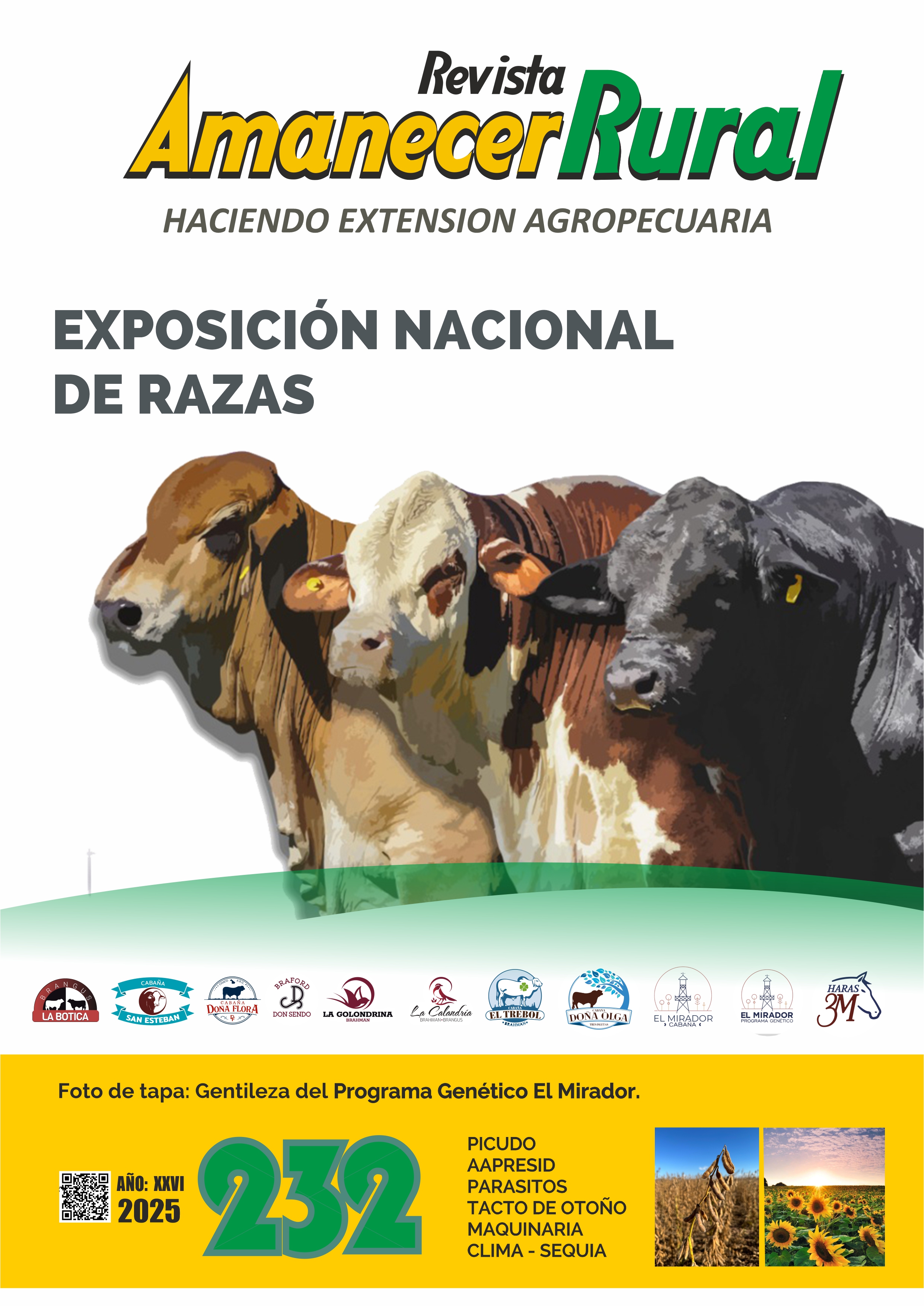 amanecer rural revista