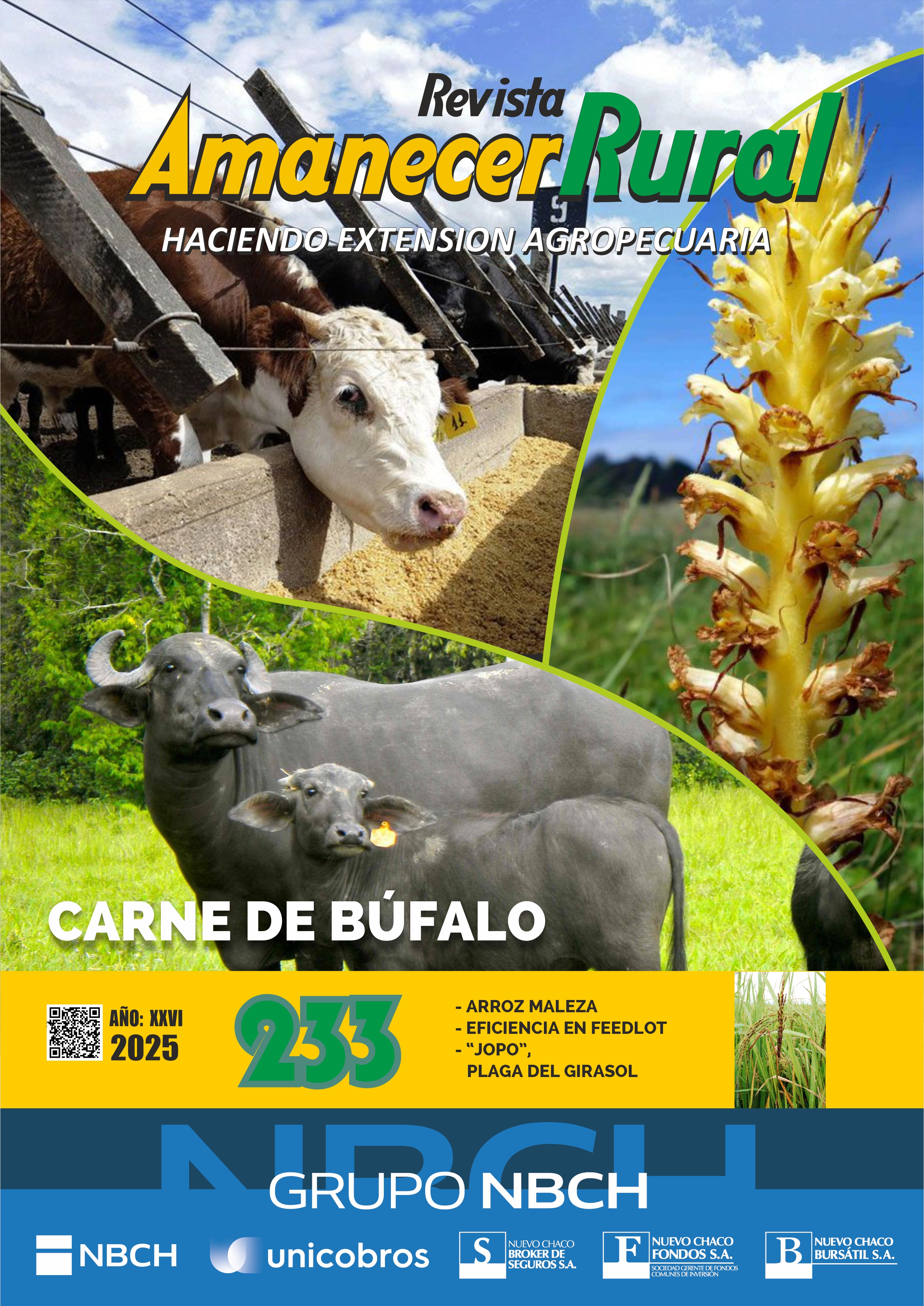 amanecer rural revista