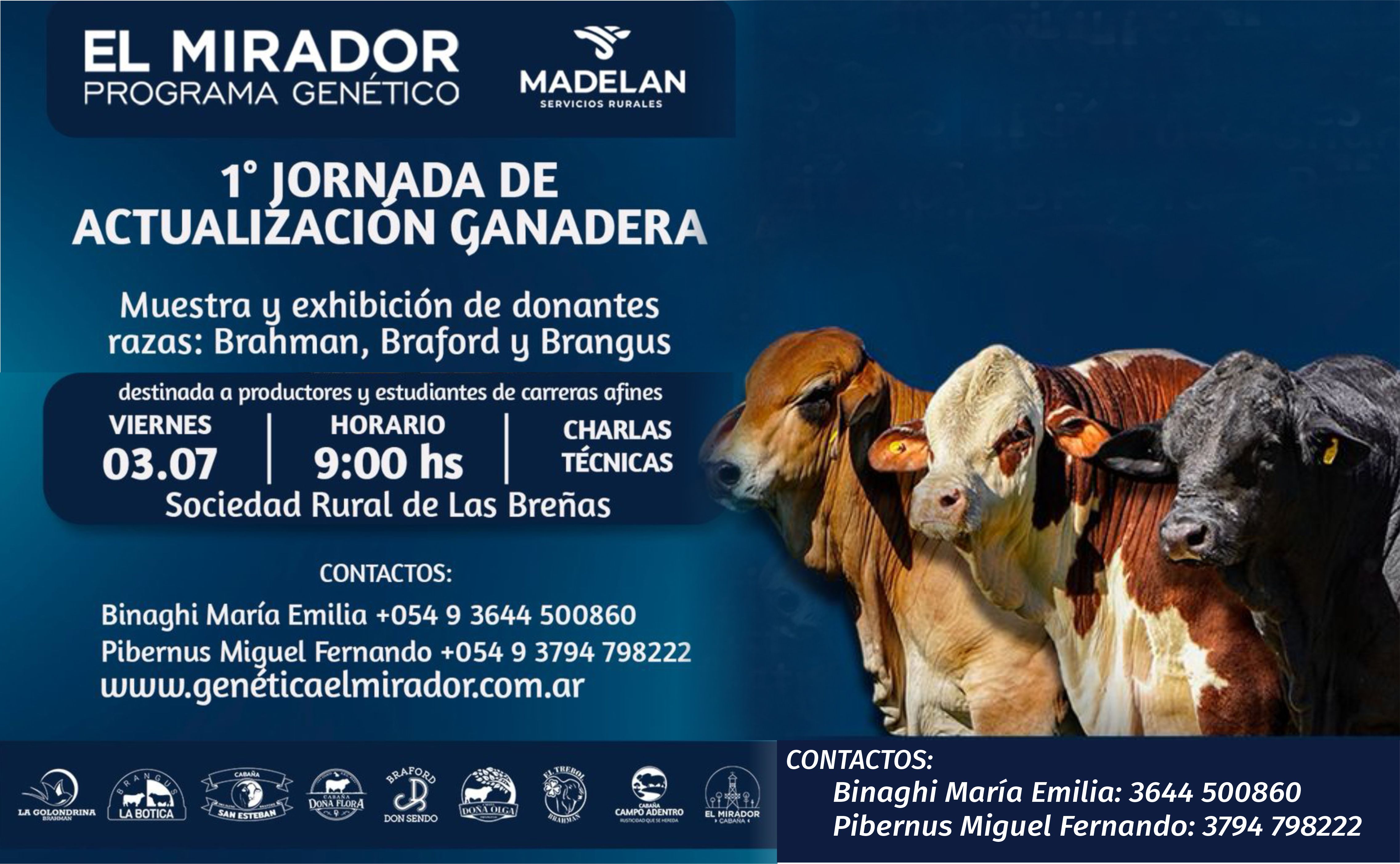 amanecer rural