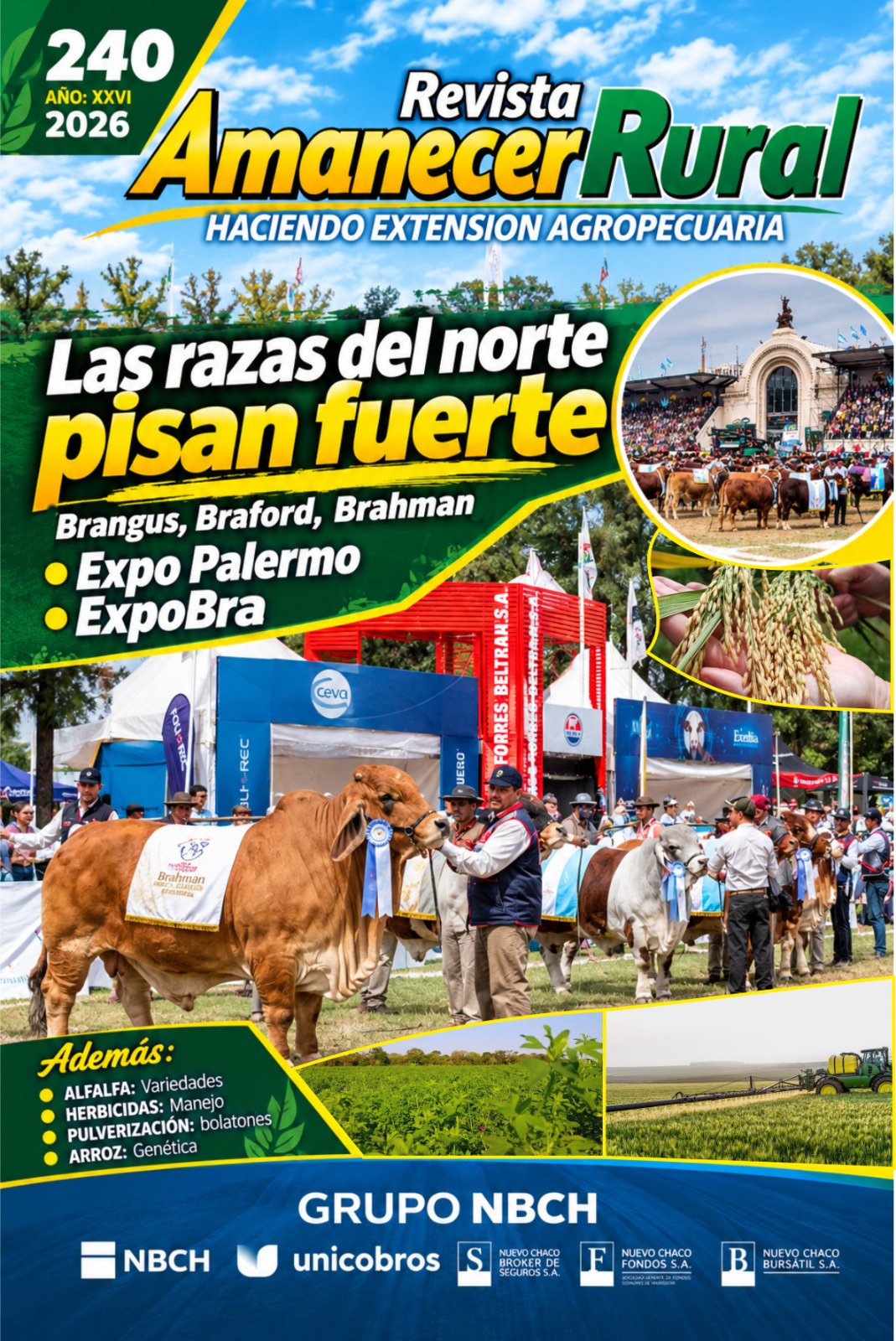 amanecer rural revista